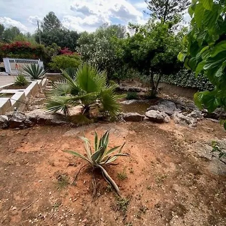 Villa Celia